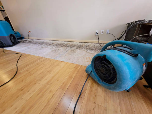 Professional Burst Pipe Water Damage technician working in Camden, AL